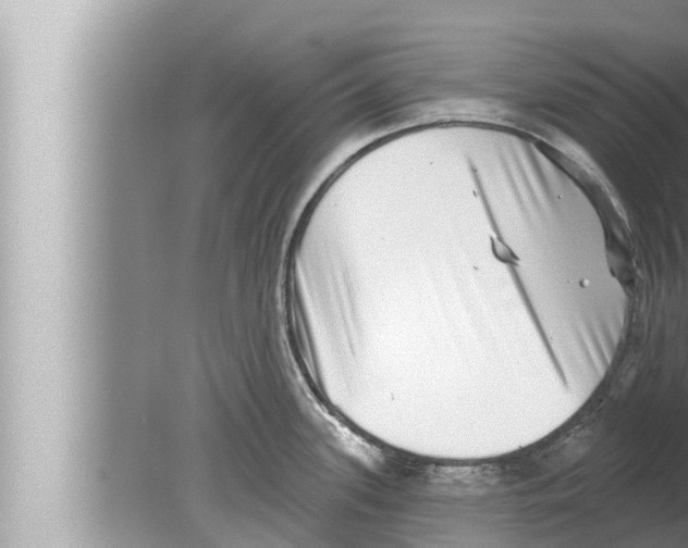 X0000080151339200612302118