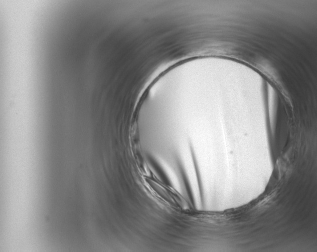 X0000080151340200612302118