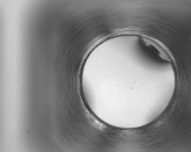 X0000080151341200612302118