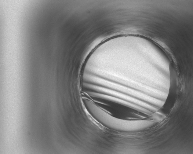 X0000080151342200612302118