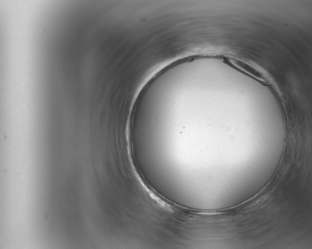 X0000080151343200612302118