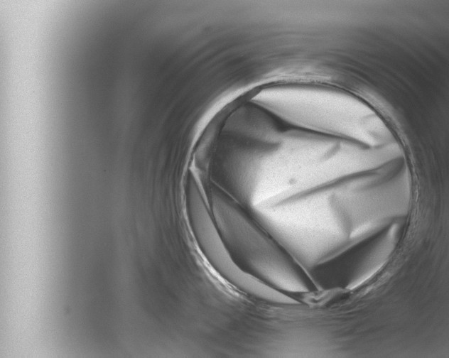 X0000080151344200612302118