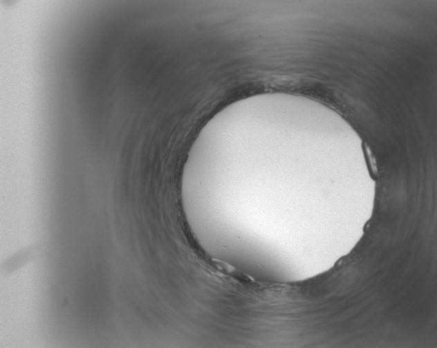 X0000080151345200612302117