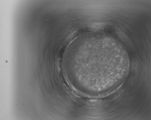 X0000080151346200612302117