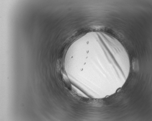 X0000080151347200612302117