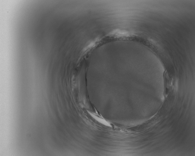 X0000080151348200612302117