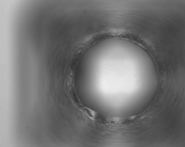 X0000080151349200612302117