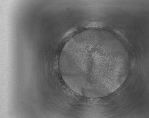 X0000080151350200612302117