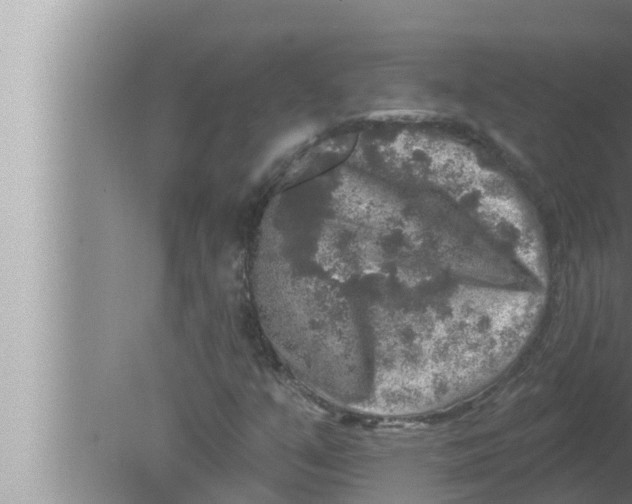 X0000080151351200612302117