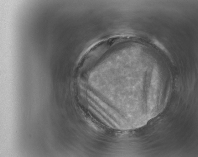 X0000080151352200612302117