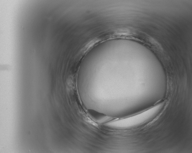 X0000080151353200612302117