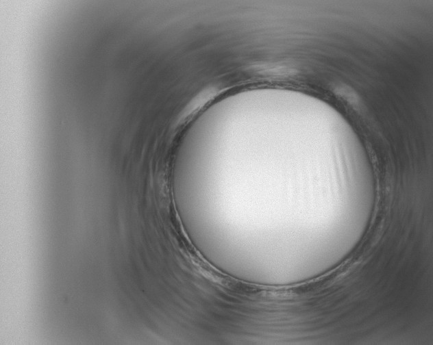 X0000080151354200612302117