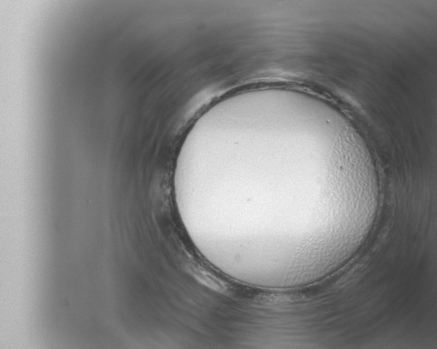 X0000080151355200612302117