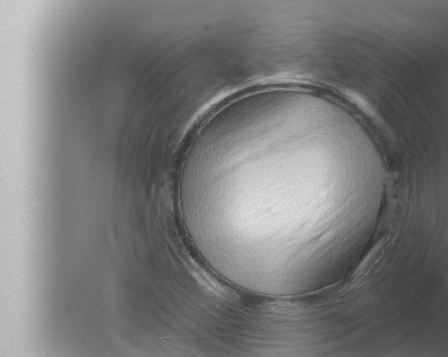 X0000080151356200612302117