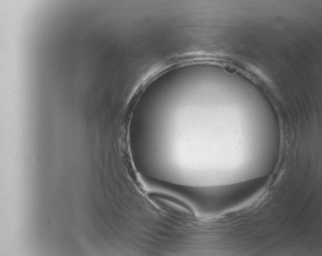 X0000080151357200612302117