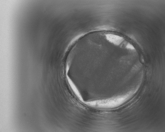 X0000080151358200612302117