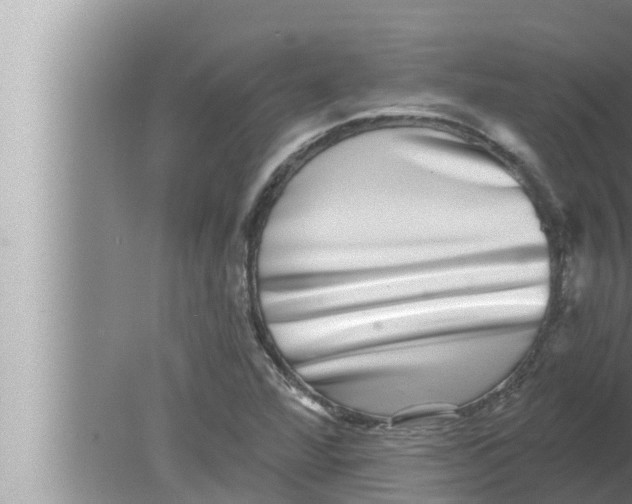 X0000080151360200612302117