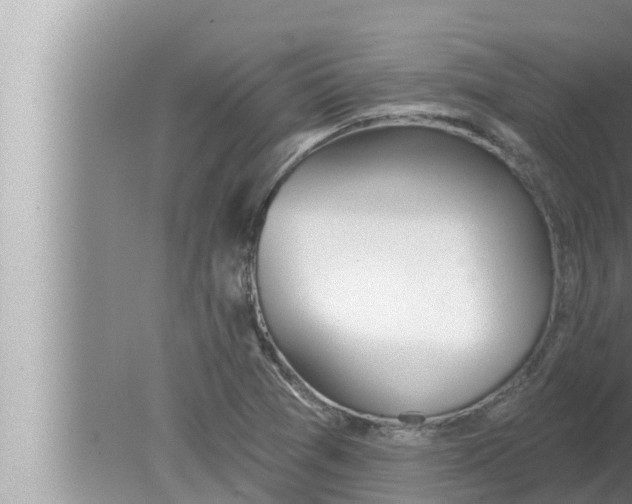 X0000080151361200612302117