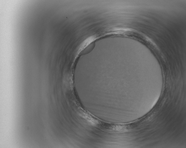 X0000080151362200612302117