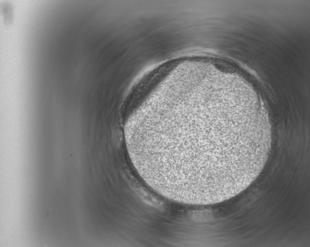 X0000080151363200612302117