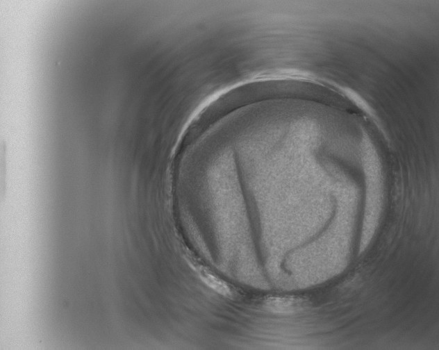 X0000080151364200612302117