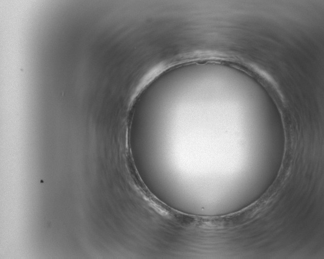 X0000080151365200612302117