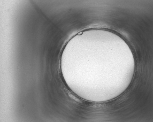 X0000080151366200612302117