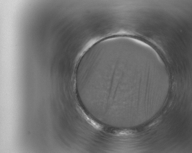 X0000080151367200612302117