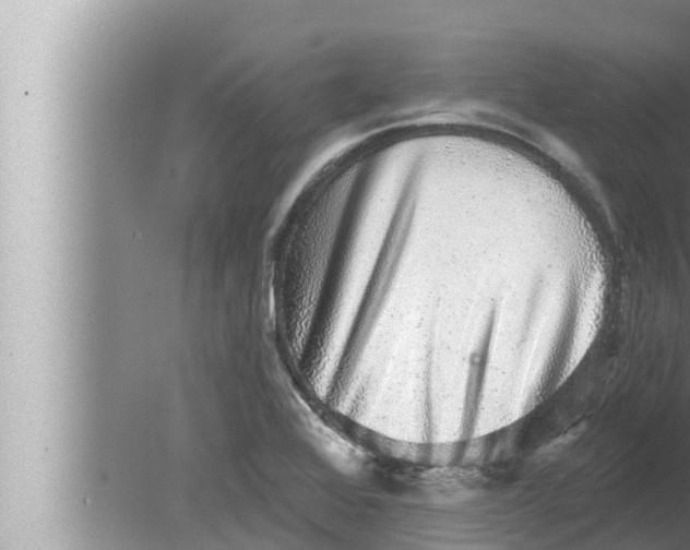 X0000080151368200612302117