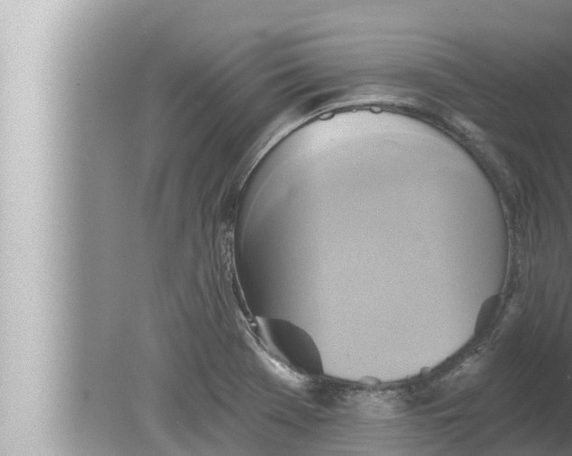 X0000080151369200612302117