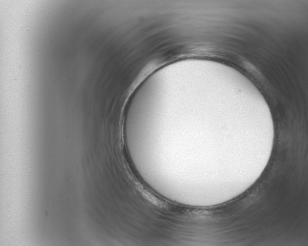 X0000080151370200612302117