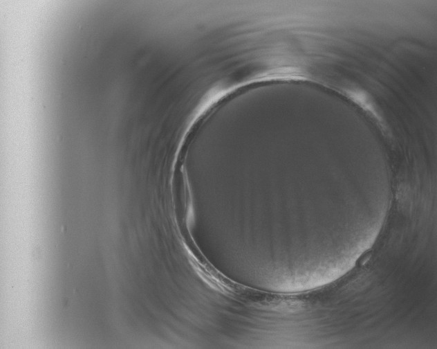 X0000080151372200612302117