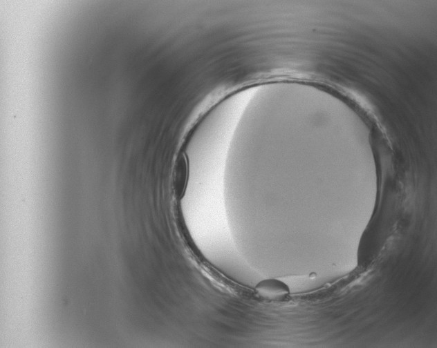 X0000080151373200612302116