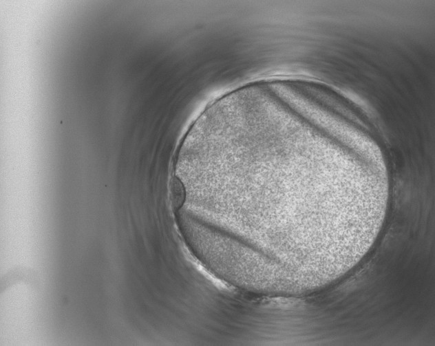 X0000080151374200612302116