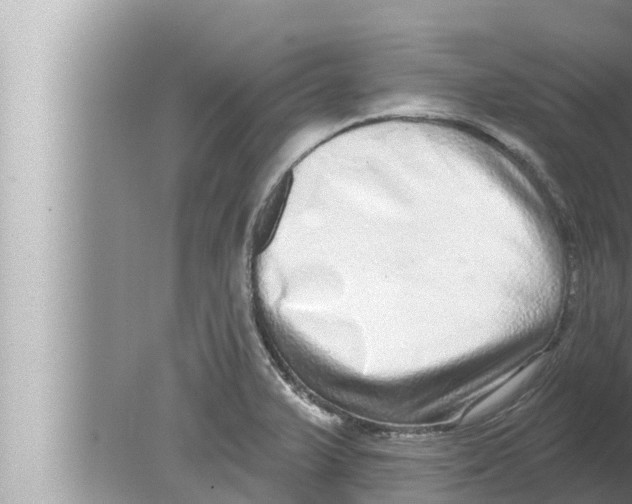 X0000080151375200612302116