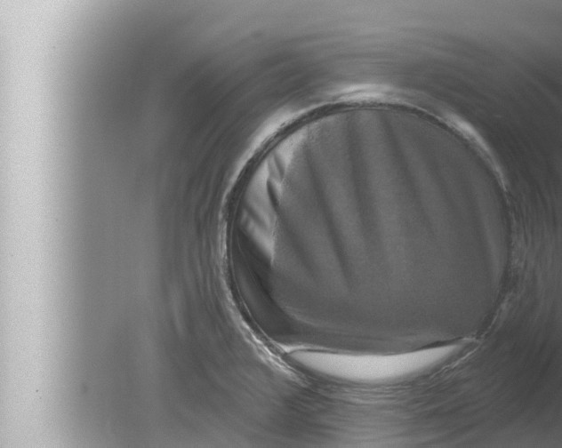 X0000080151376200612302116