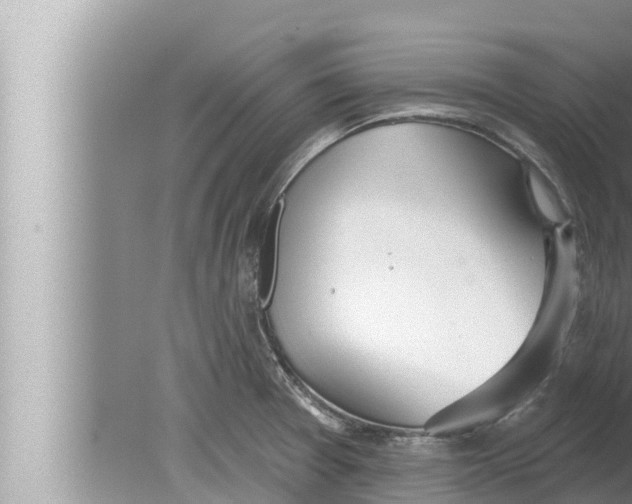 X0000080151377200612302116