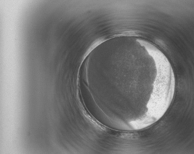 X0000080151378200612302116