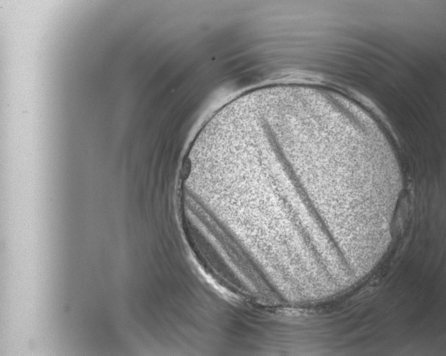 X0000080151379200612302116