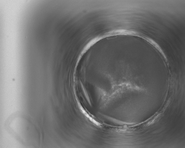 X0000080151381200612302116