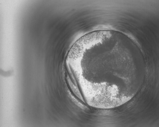 X0000080151382200612302116