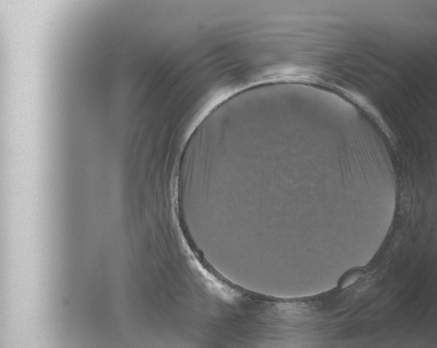 X0000080151383200612302116