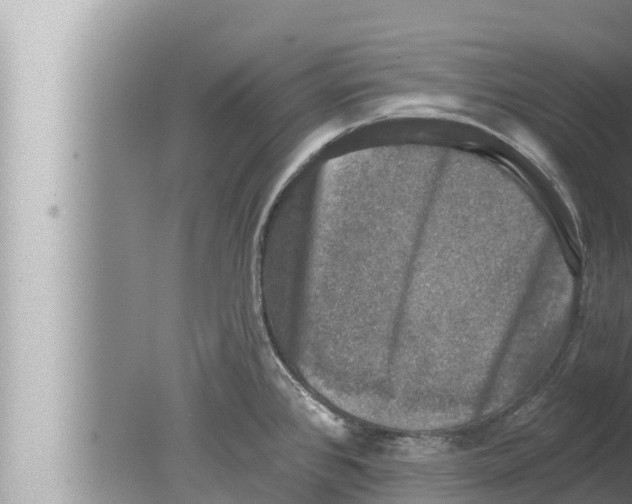 X0000080151384200612302116