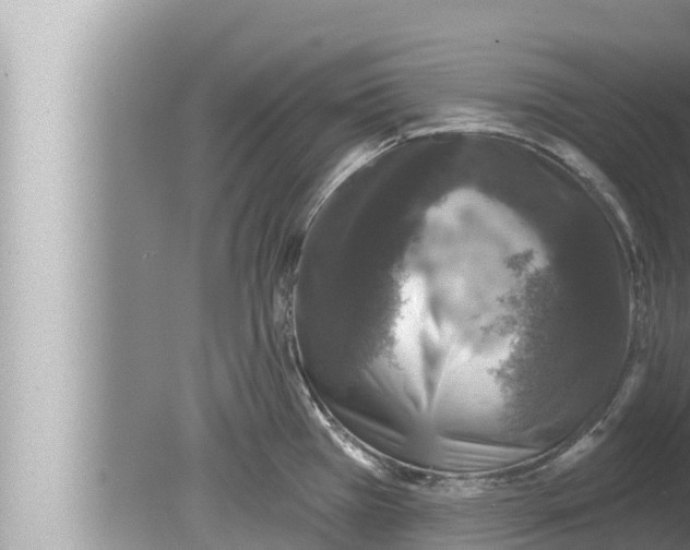 X0000080151385200612302116