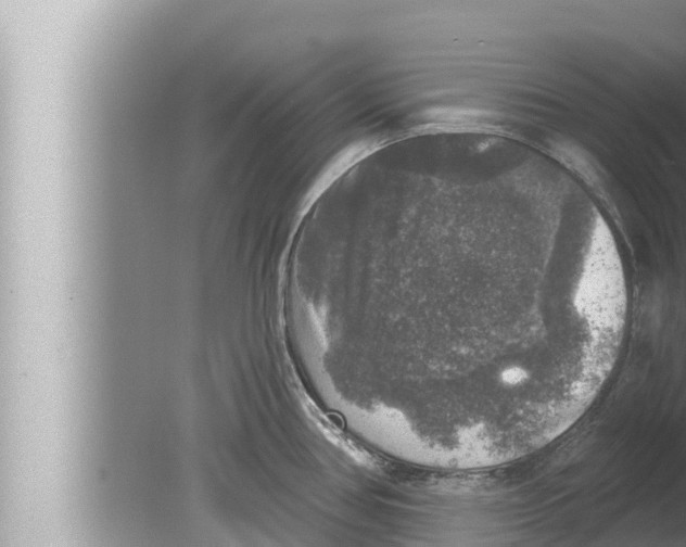 X0000080151386200612302116