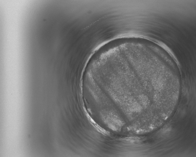 X0000080151388200612302116