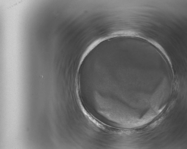 X0000080151389200612302116