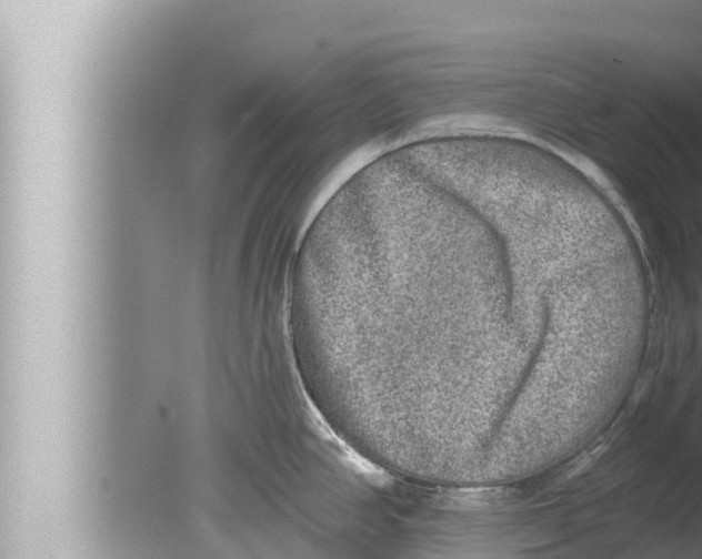 X0000080151390200612302116