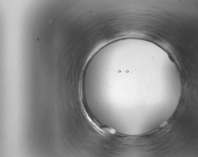 X0000080151391200612302116