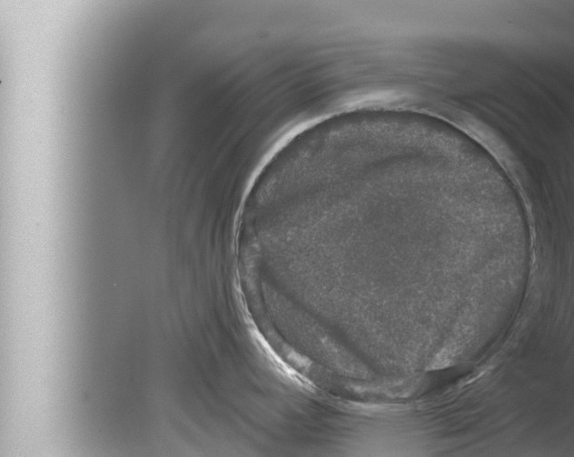 X0000080151392200612302116